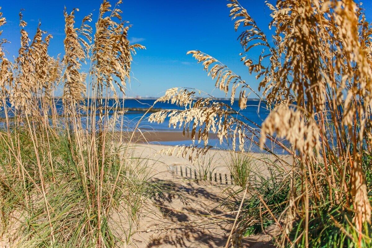 Willoughby Spit Sojourn | Beach Side | 2 BR