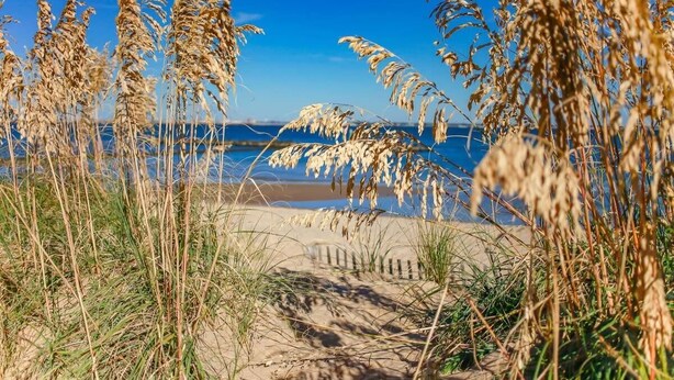 Beach nearby - Sojourns Spit 2 BR  Beach Shack 1278WOV#2 (Norfolk)