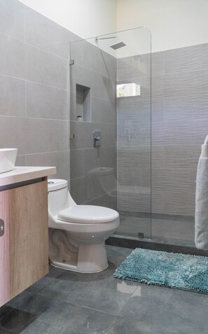 Shower, towels, soap, toilet paper