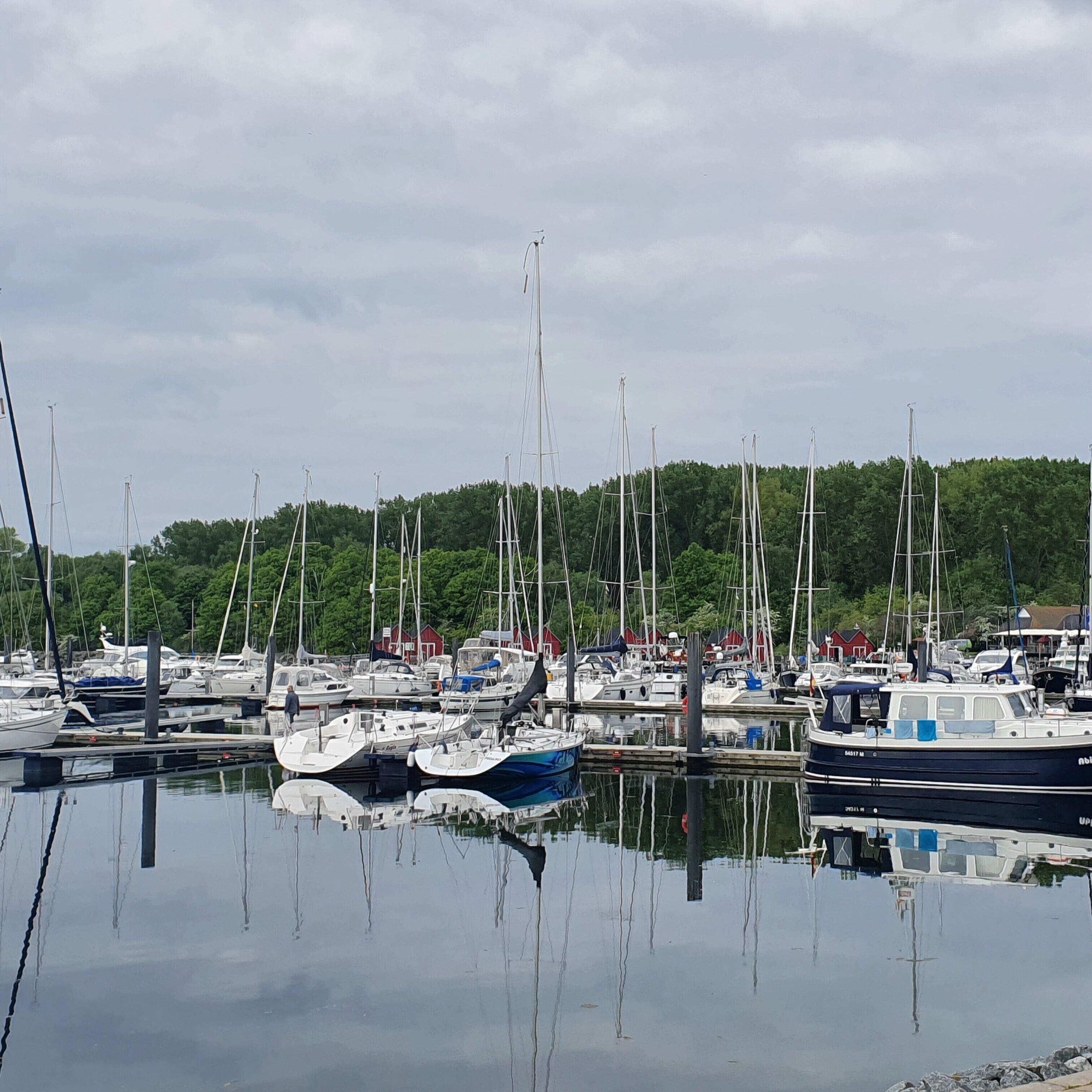 Ein Yachthafen mit mehreren angossenen Booten, ruhigem Wasser und bewaldeter Kulisse.