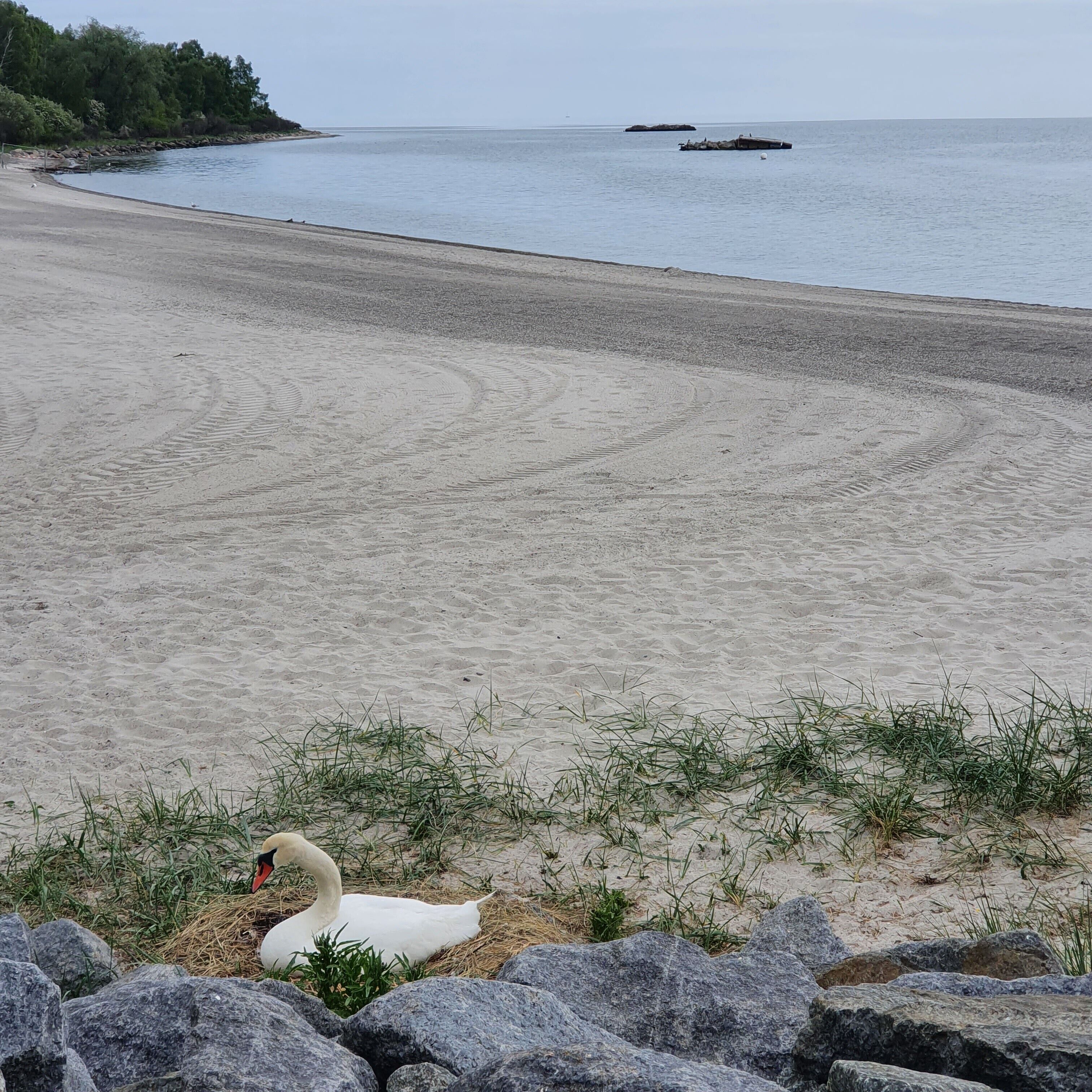 Beach nearby