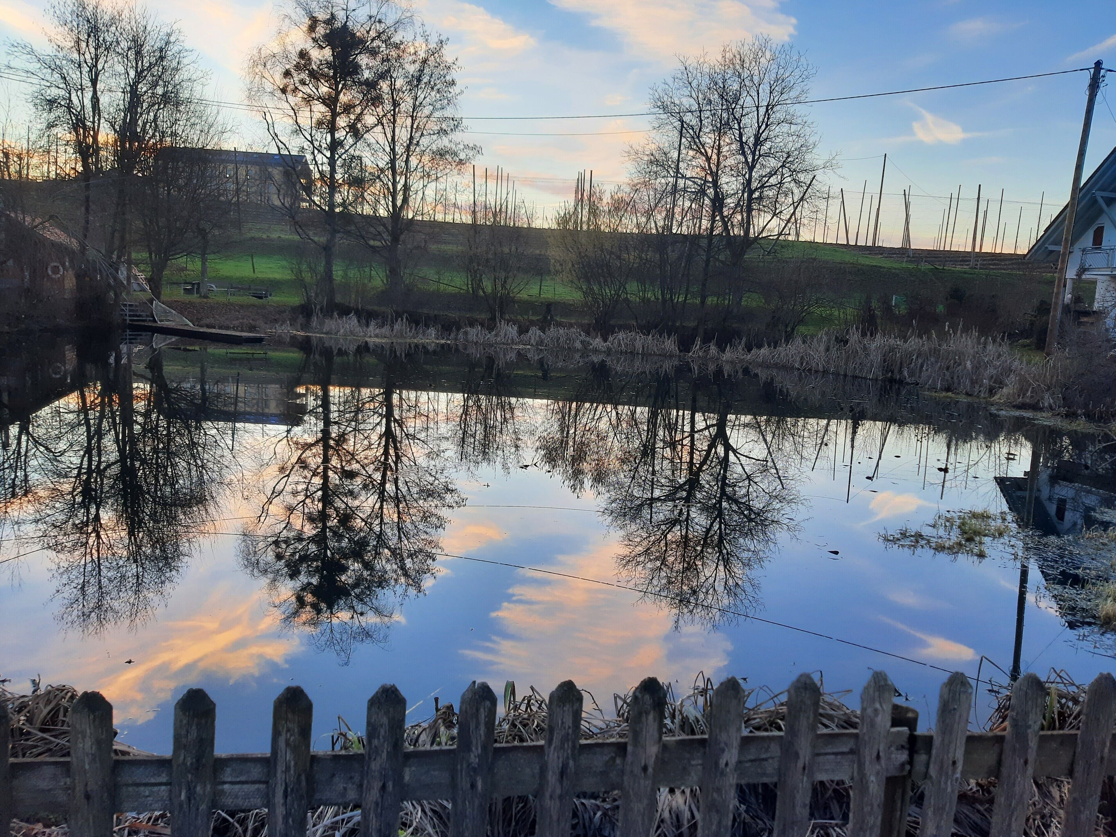 A calm body of water reflecting trees and a wooden fence.