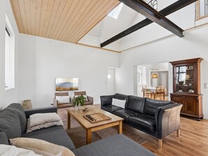 Fernseher, Kamin