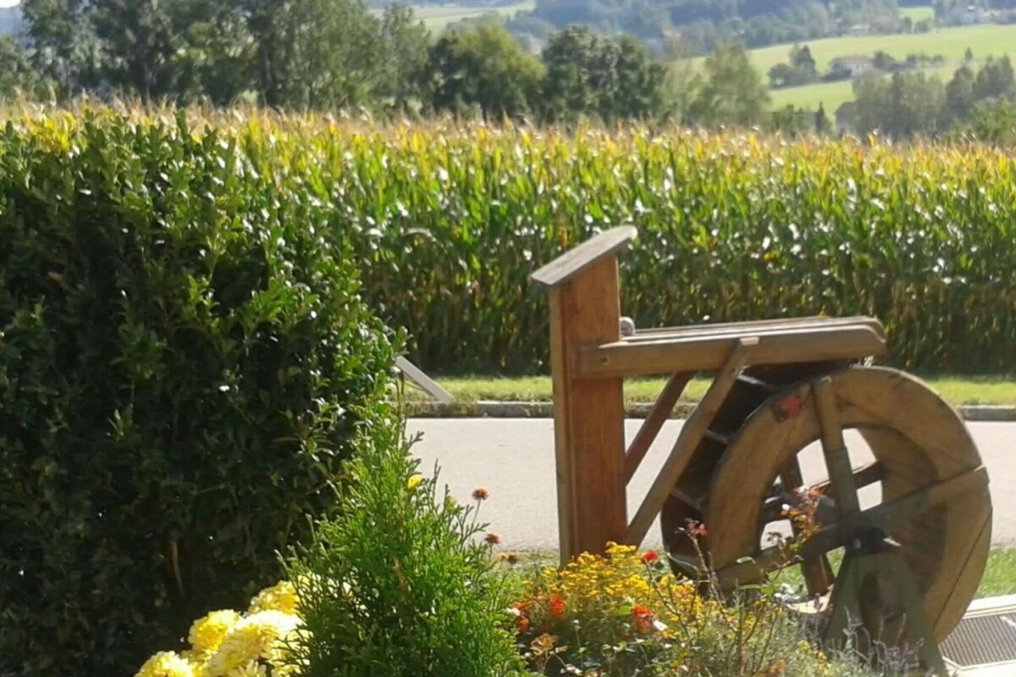 Overnattingsstedets uteområder