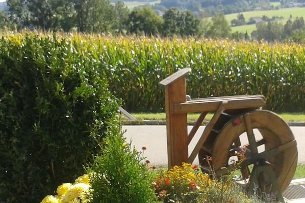 Property grounds - Holiday apartment Tulpe Schuniglhof (Neukirchen b. Hl. Blut)