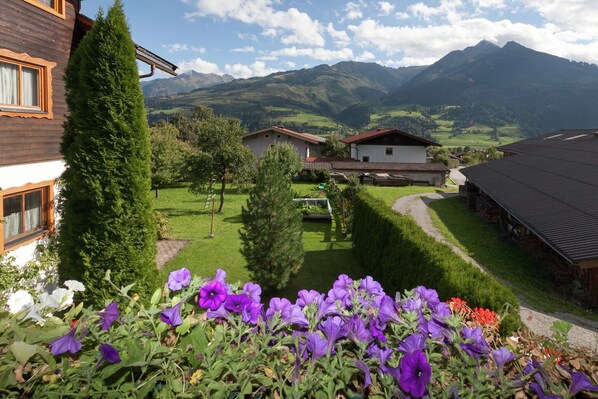 Vista de uma paisagem montanhosa com casas e um jardim cheio de flores roxas.