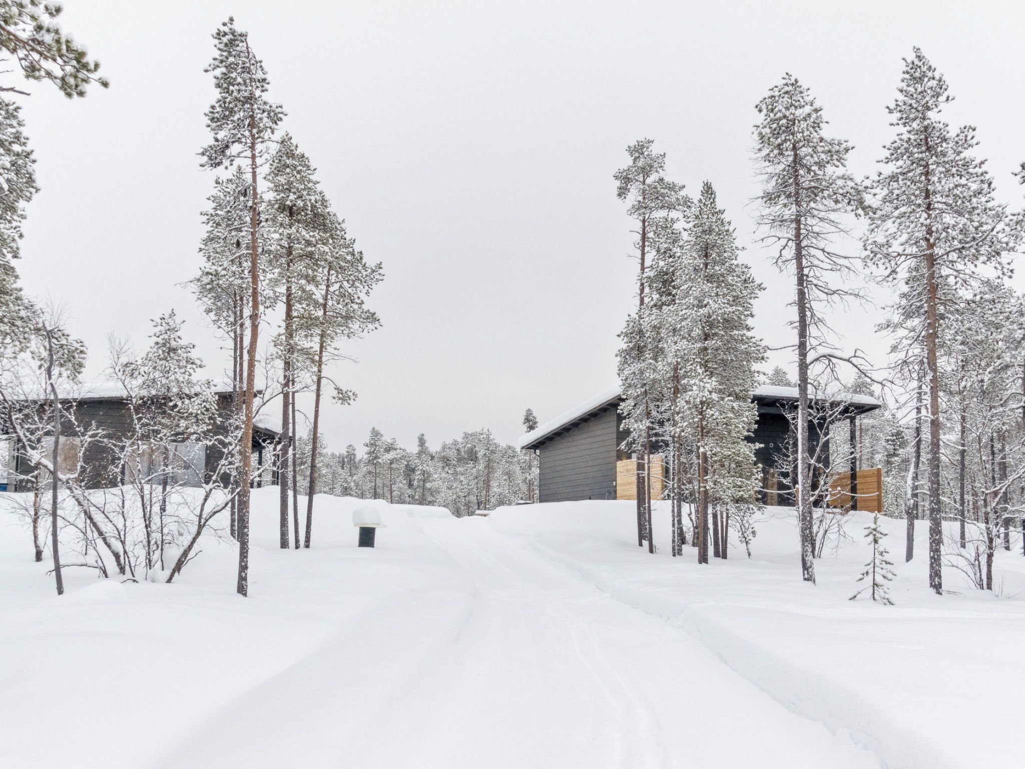 A snow-covered landscape with a building and trees.