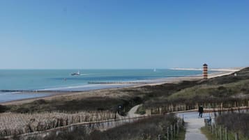 Playa en los alrededores