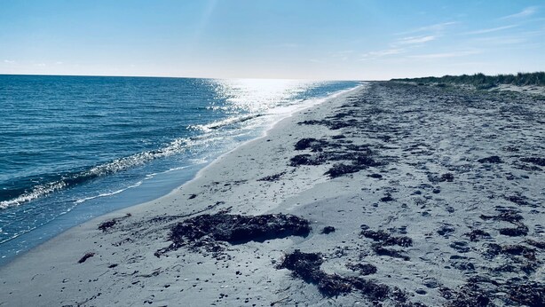 A beach with a clear sky and sunlight reflecting on the water.