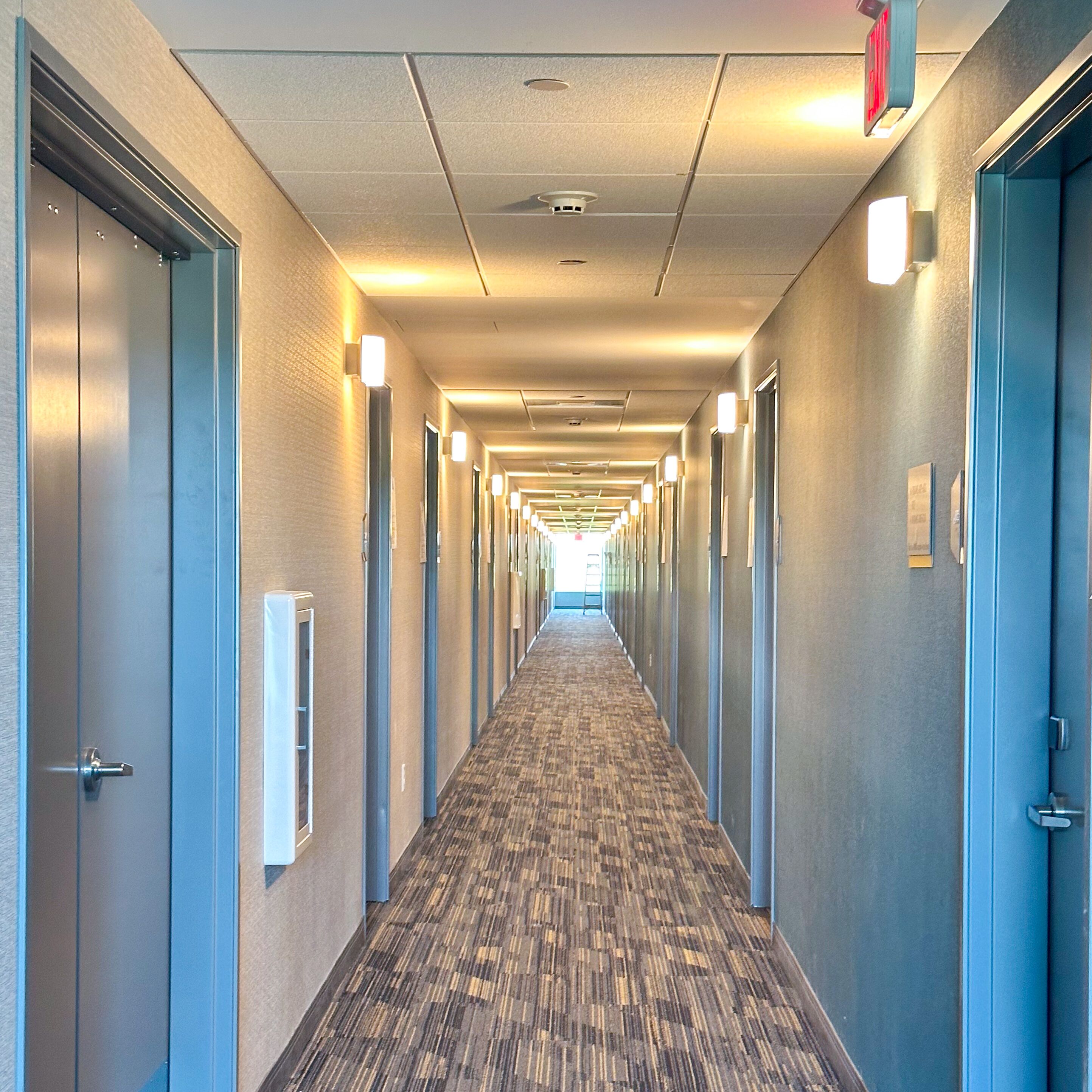 A hotel hallway with carpeted floors, doors on both sides, and overhead lighting.