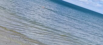 Maison de Ville au Bord de mer et des Plages du Débarquement