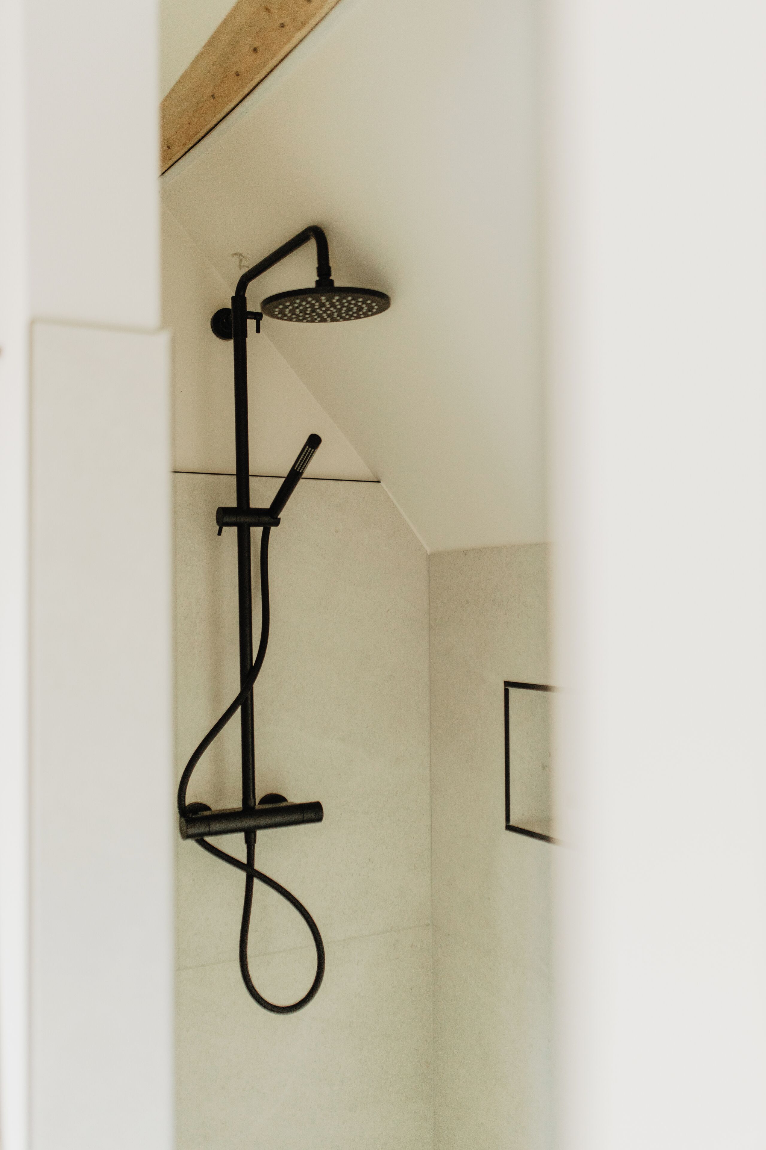 A shower with a handheld showerhead and a handheld scrubber.