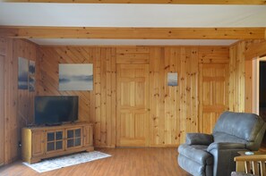 Smart TV, DVD player