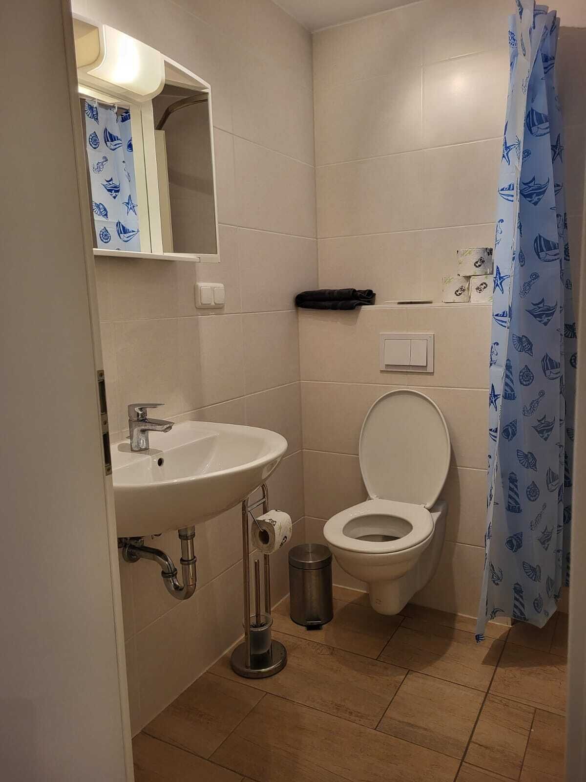 Kylpyhuone, jossa on pesuallas, wc ja meriaihekuvioitu suihkuverho.