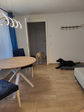 A room with a round wooden table, two blue chairs, a black dog lying on a grey cushion, and a golden retriever standing by a door.