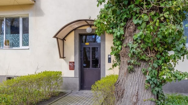 A building entrance with a black door, a small garden area with bushes, and a tree with ivy. - Comfortable Studio | Next to the Royal Baths (Warszawa)