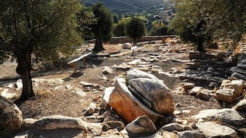 Ecotours