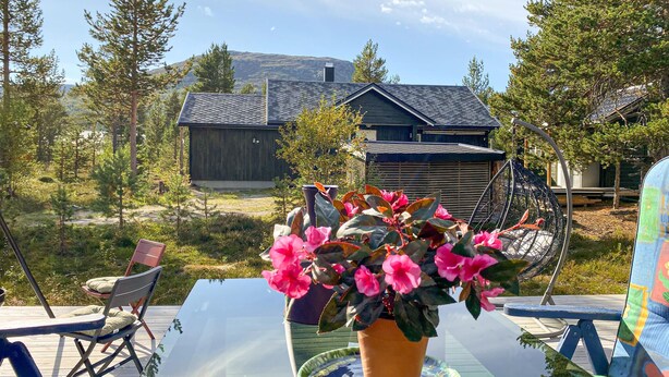 A glass table with a potted plant, a folding chair, and a hammock chair in a backyard with a house and trees in the background.