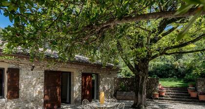 Ermitage Saint-Quinis, Le Levant, lodge ecoondes en pierre entre vignes et bois