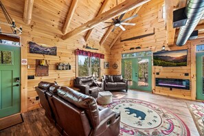 TV, fireplace, books