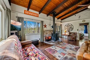 Fernseher, Stereoanlage