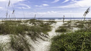 A sandy path leading to a beach with dunes and sparse vegetation. - The best Views On The Beach From This 3rd Floor Oasis!! (St. Augustine)