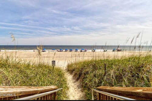 The Painted Turtle on the Boardwalk