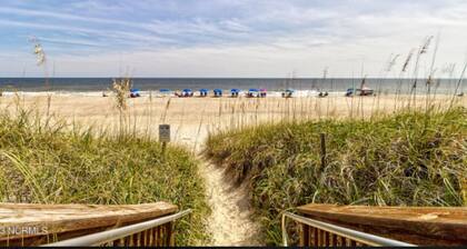 The Painted Turtle on the Boardwalk
