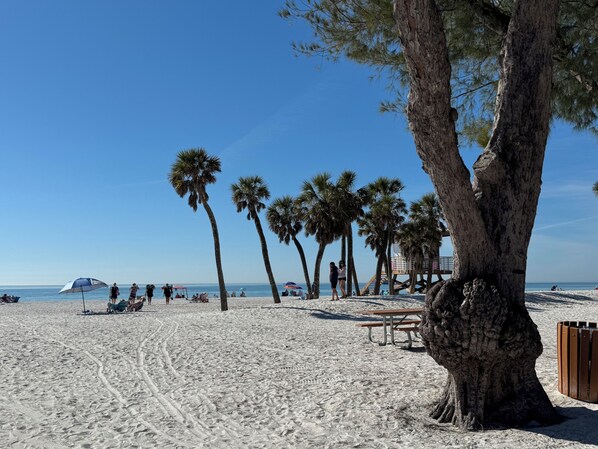 Playa en los alrededores, camastros y toallas de playa