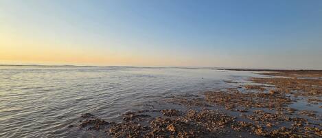 Ein Strand mit ruhigem Wasser und blauem Himmel.