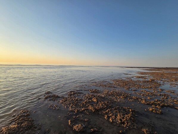 A beach with calm water and a clear sky.