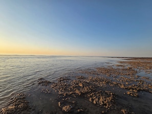 Une plage où l’eau est calme et le ciel est dégagé.