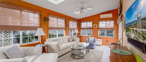 Smart TV, video library