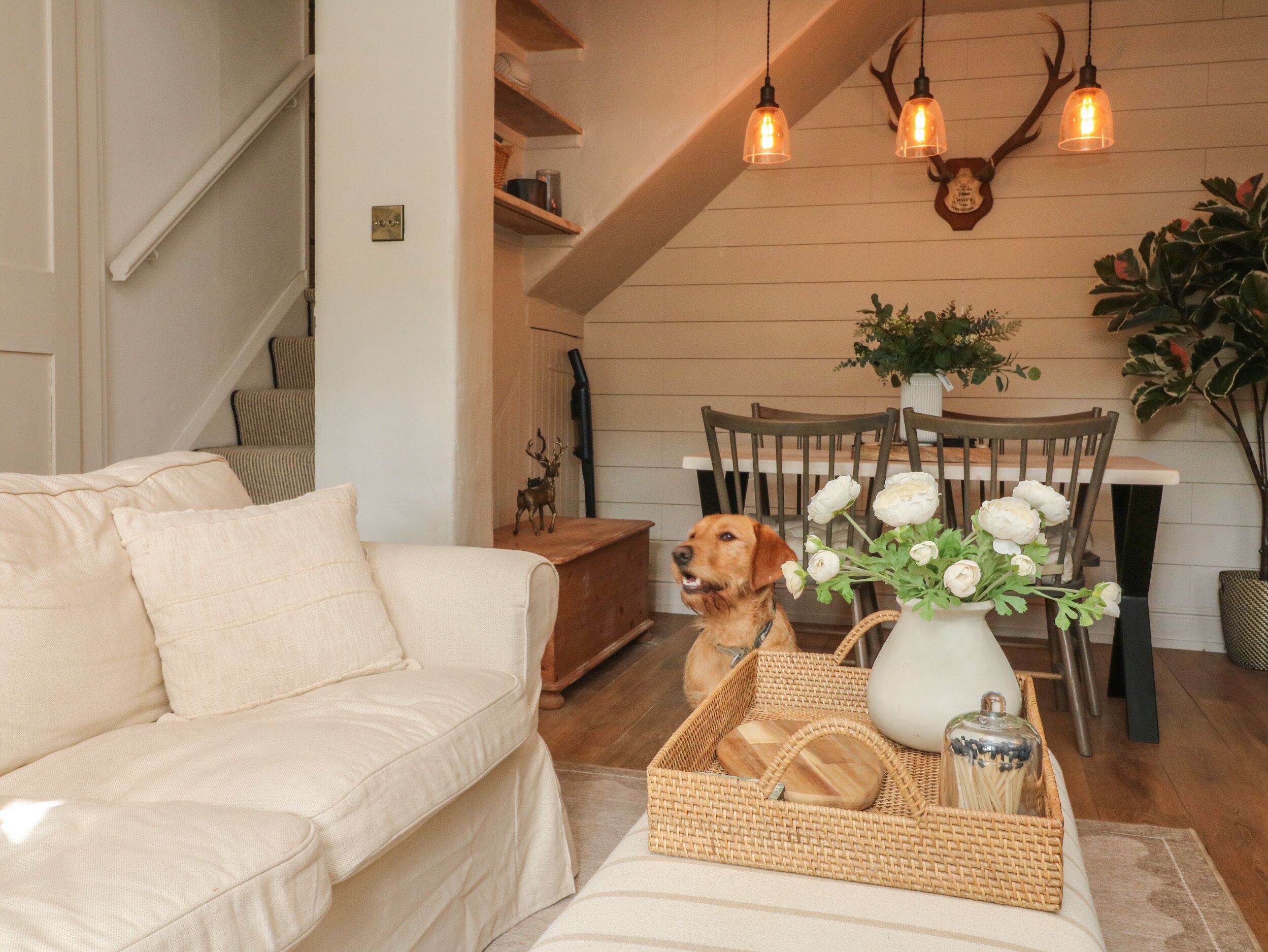 Stag Cottage, Pet Friendly, With Open Fire In Porlock - Porlock