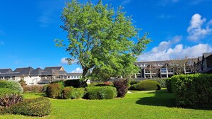 Un jardin bien entretenu, avec un grand arbre, des haies soigneusement taillées et une rangée de maisons aux toits inclinés.