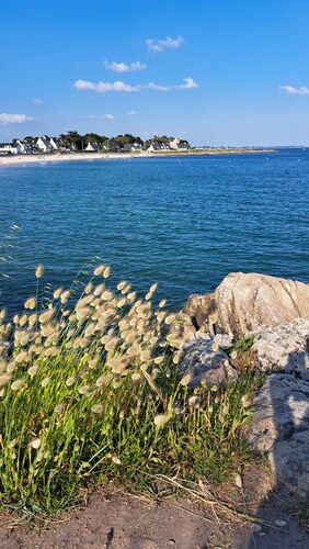 Carnac Plage Appartement rez de Jardin A 5 Minutes à Pied de la Plage 35 m²