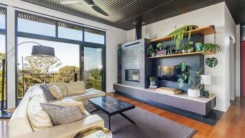 TV, fireplace