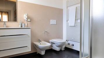 Shower, hair dryer, bidet, towels