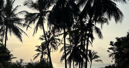 Kenya Luxury Villa Beachfront in Msambweni, AC, 3BDRS, Infinity pool