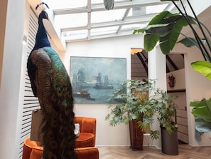 Interior - Right in the Centre of Town -on the Canal Near the Flower Market and Leidseplein (Amsterdam)