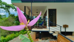 Exterior detail - Casa Kabuae/ A/C /rainforest&ocean View Home (Puntarenas)