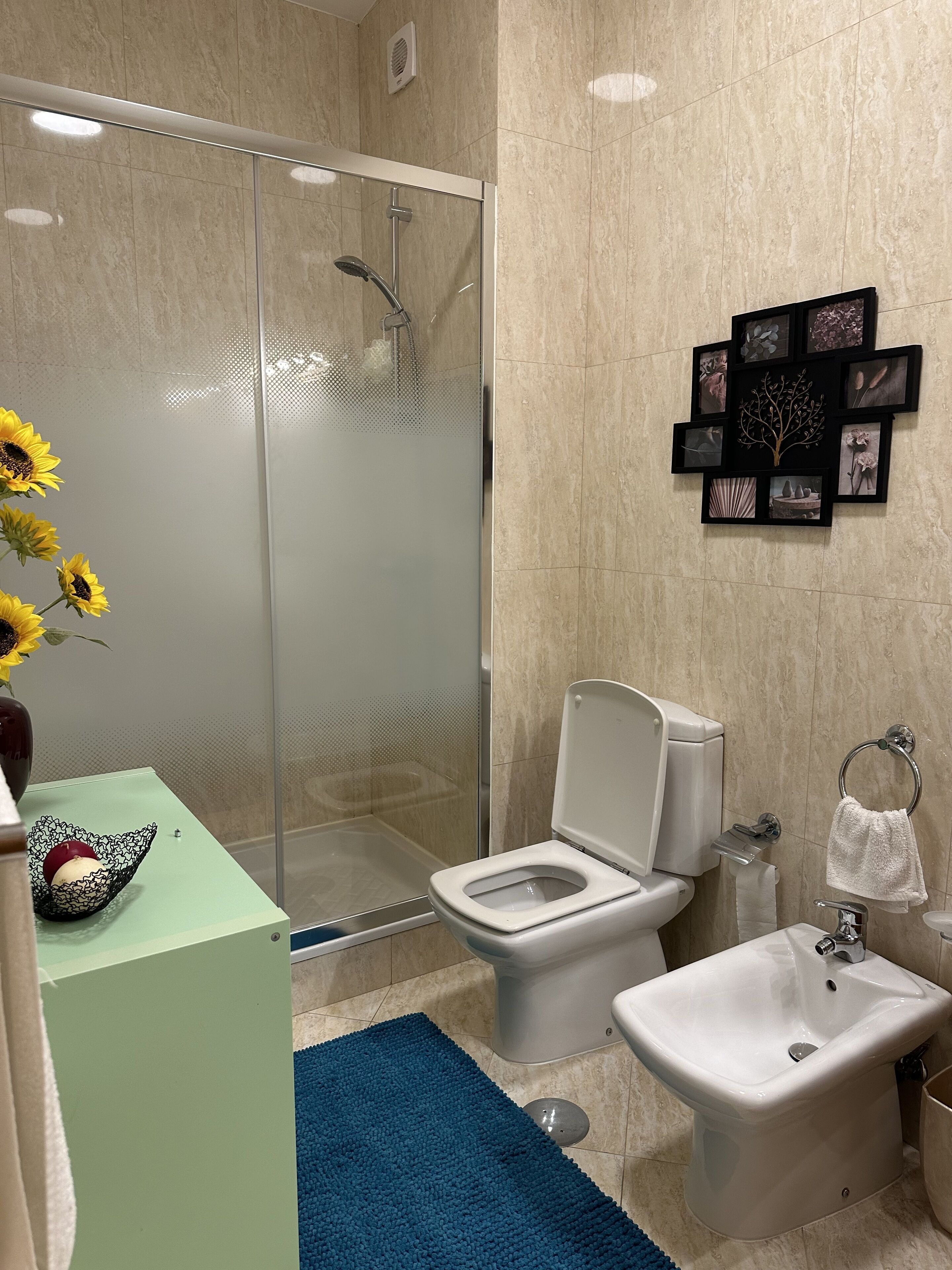 Hair dryer, towels, soap, toilet paper
