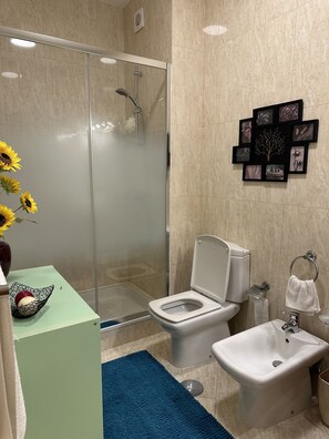 Sèche-cheveux, serviettes fournies, savon, papier toilette