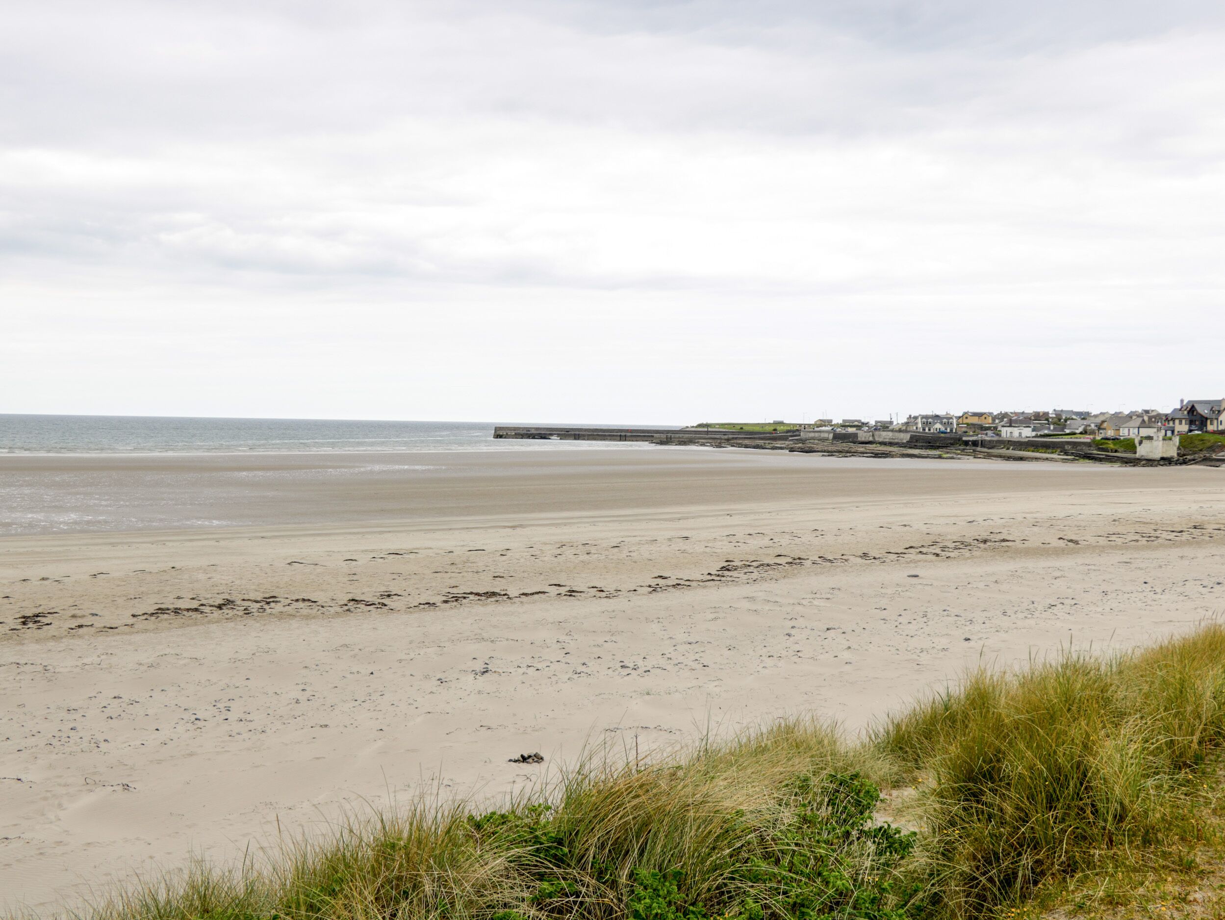 A beach with a long pier extending into the sea, a grassy area in the foreground, and a row of houses along the shore.