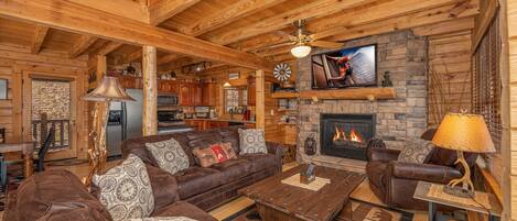 Televisión, chimenea, videojuegos y reproductor de DVD