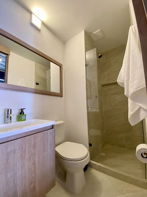 Shower, hair dryer, towels, soap