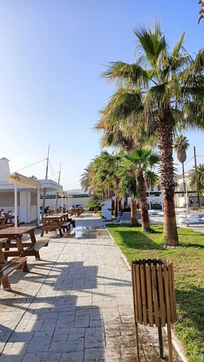A paved walkway with wooden benches and palm trees, leading to covered seating areas. - Grand Hotel Moderne - Port d'Alger (Algiers)