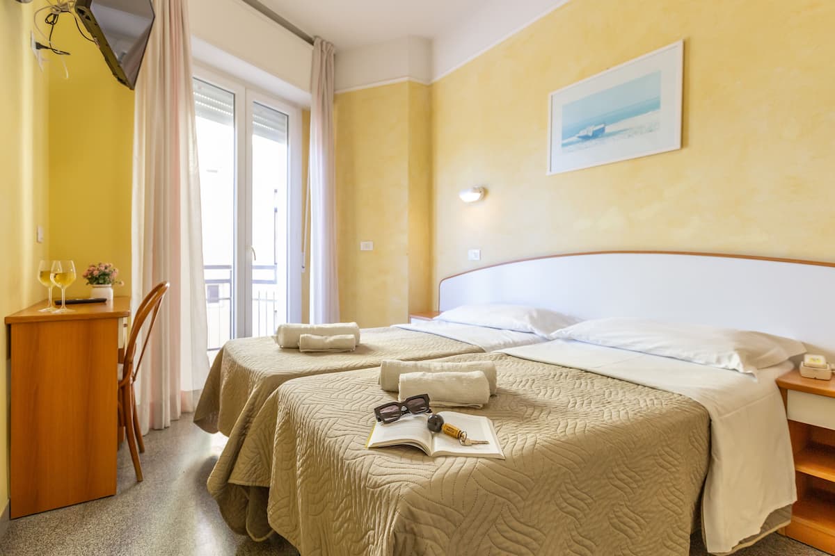 Comfort kamer, 1 twee- of 2 eenpersoonsbedden | Hypoallergeen beddengoed, een kluis op de kamer, een bureau