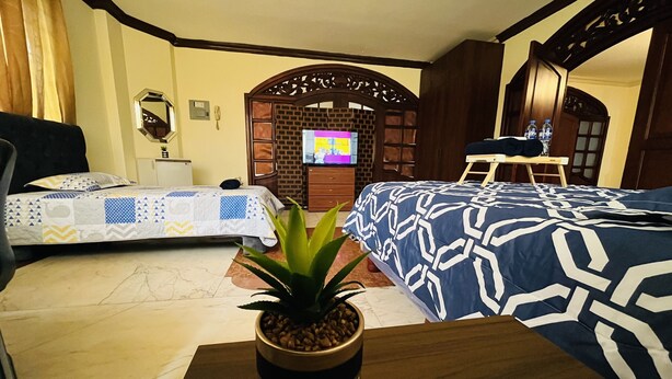 Habitación de hotel con dos camas, televisión, armario de madera y una planta en maceta.