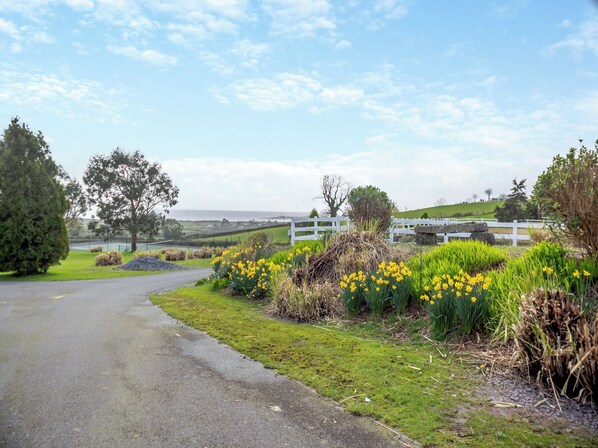 A rural road with a white fence, lush greenery, and yellow flowers.